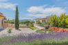 Finca en Pollensa / Pollença - GARRIGA DEL VILA ref. VP60